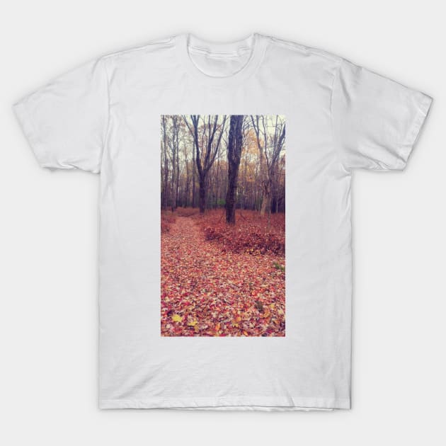 Autumn Wonderland T-Shirt by Jmcguirt